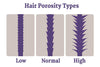 What Is High Porosity Hair?