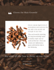 Benefits of Cloves for Hair Growth